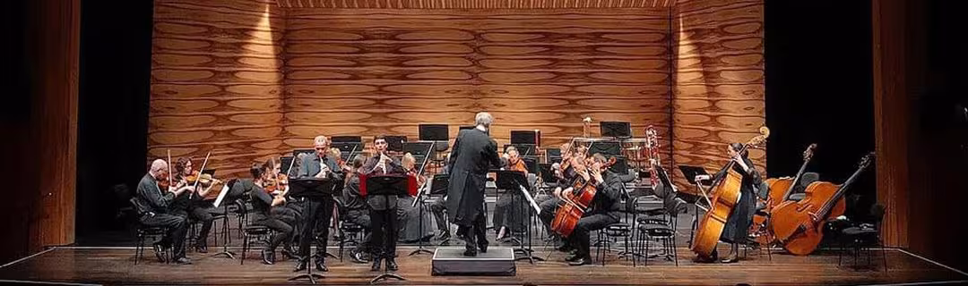 Ellipsis Ensemble 4